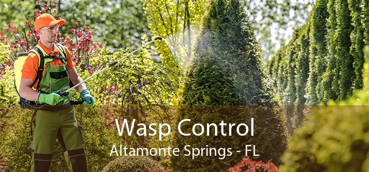 Wasp Control Altamonte Springs - FL