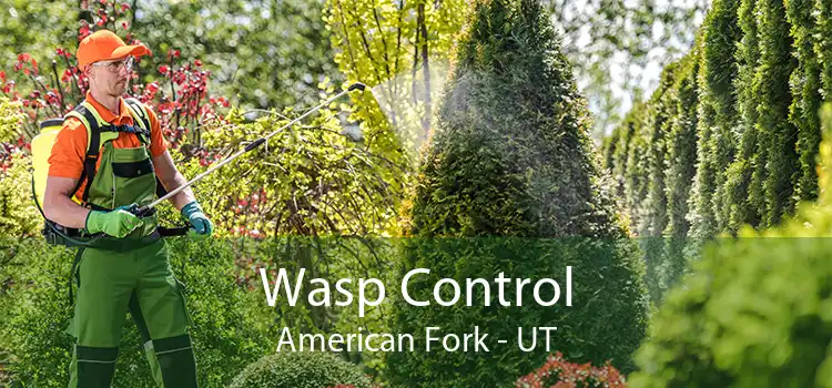 Wasp Control American Fork - UT