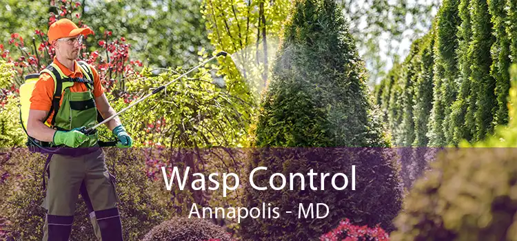 Wasp Control Annapolis - MD