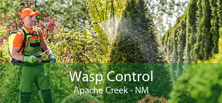 Wasp Control Apache Creek - NM
