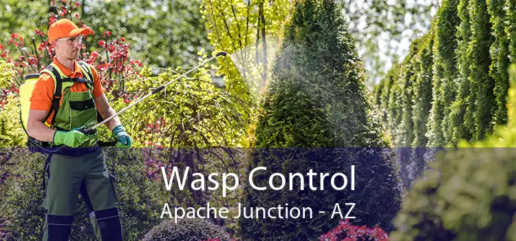 Wasp Control Apache Junction - AZ