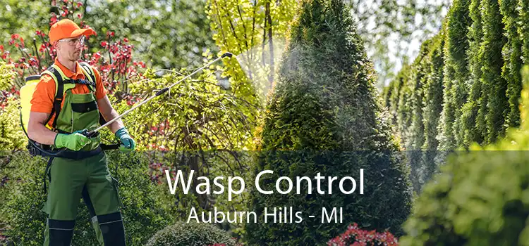 Wasp Control Auburn Hills - MI