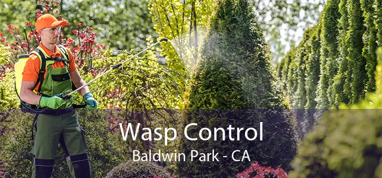 Wasp Control Baldwin Park - CA