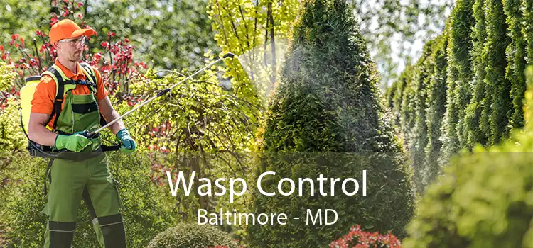 Wasp Control Baltimore - MD