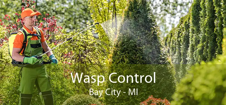 Wasp Control Bay City - MI