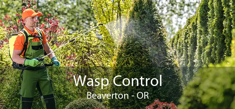 Wasp Control Beaverton - OR