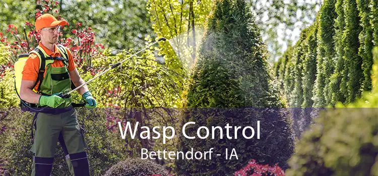 Wasp Control Bettendorf - IA