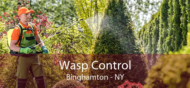 Wasp Control Binghamton - NY