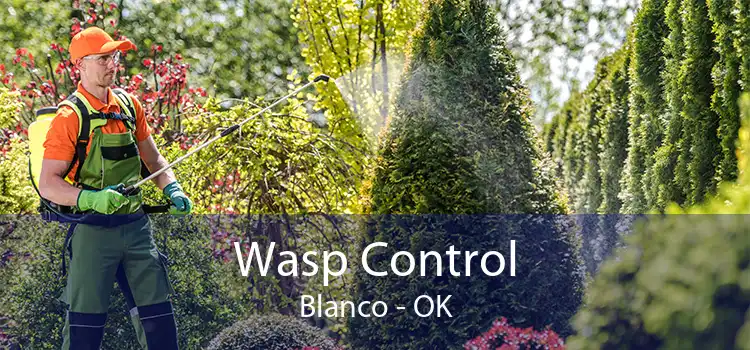 Wasp Control Blanco - OK