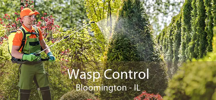Wasp Control Bloomington - IL