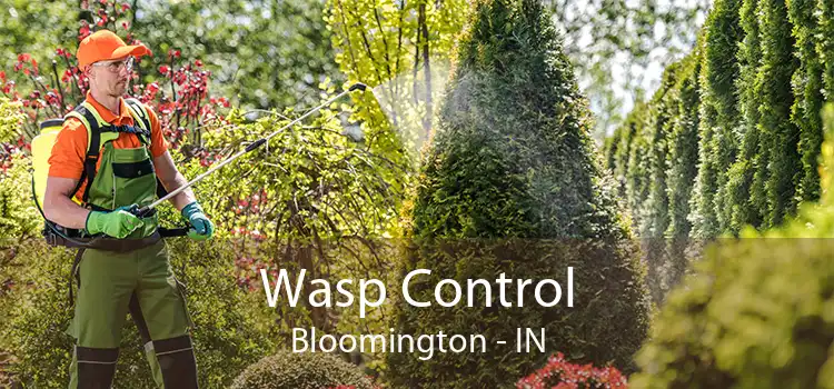 Wasp Control Bloomington - IN