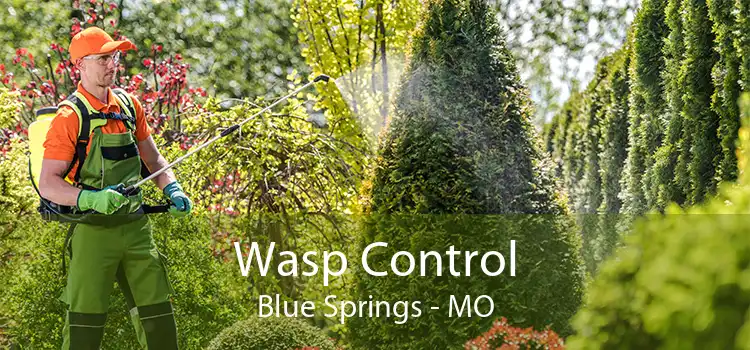 Wasp Control Blue Springs - MO