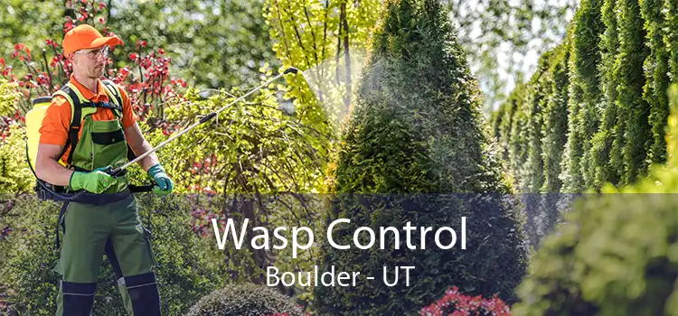 Wasp Control Boulder - UT