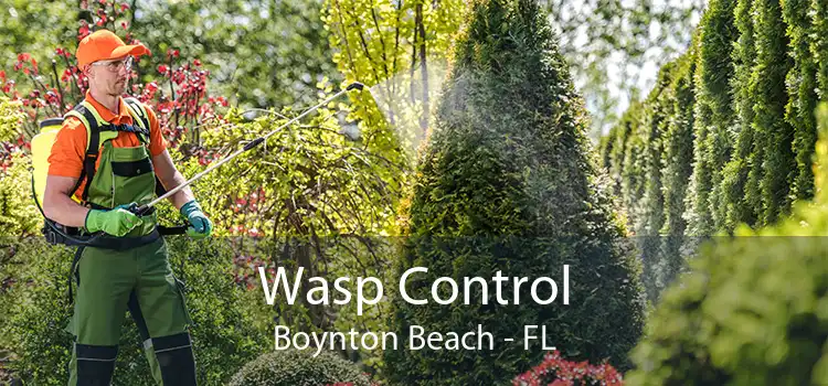Wasp Control Boynton Beach - FL