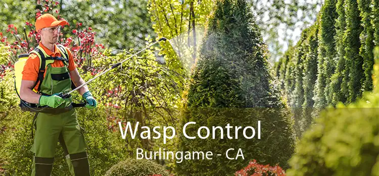 Wasp Control Burlingame - CA