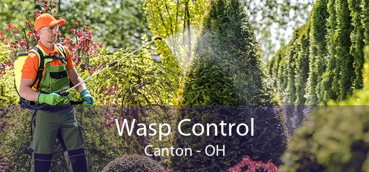 Wasp Control Canton - OH