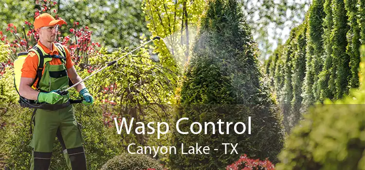 Wasp Control Canyon Lake - TX