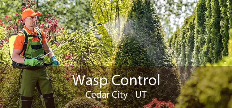 Wasp Control Cedar City - UT