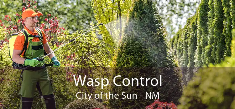 Wasp Control City of the Sun - NM