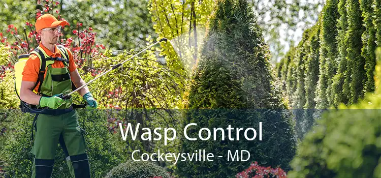 Wasp Control Cockeysville - MD