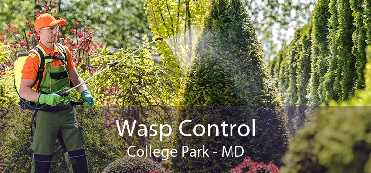 Wasp Control College Park - MD