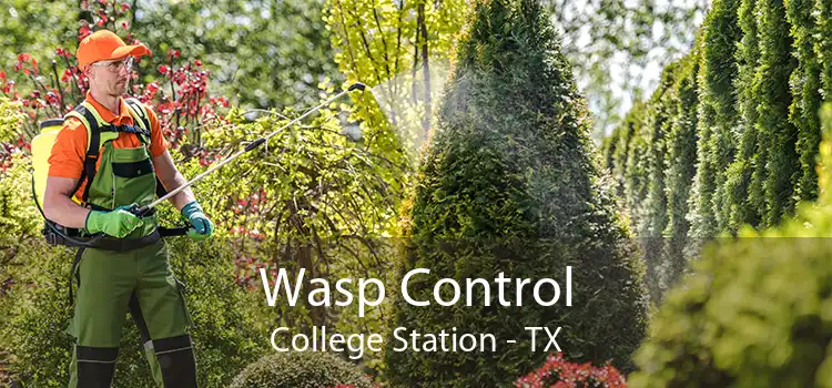 Wasp Control College Station - TX