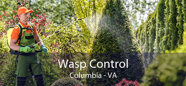 Wasp Control Columbia - VA