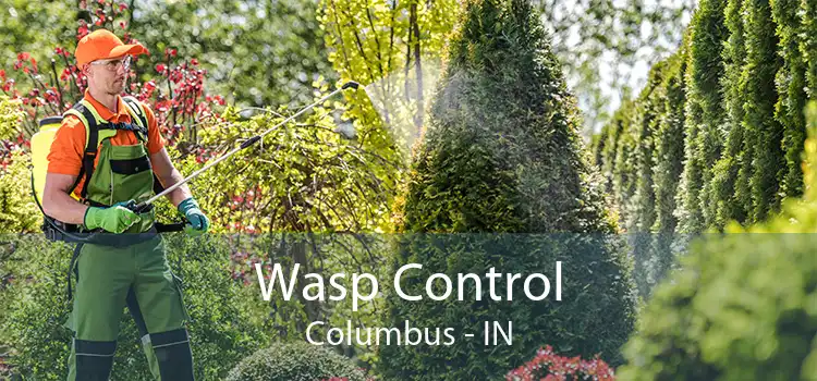 Wasp Control Columbus - IN