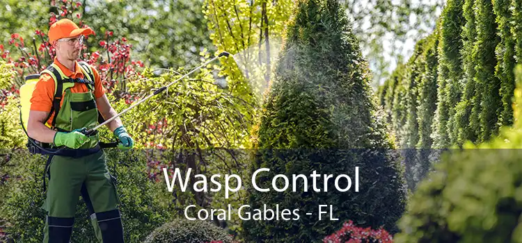 Wasp Control Coral Gables - FL