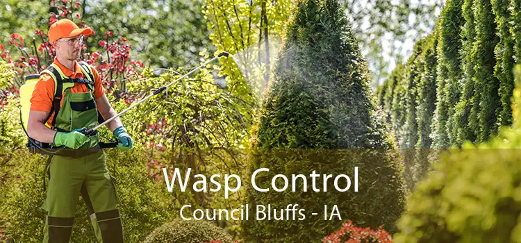 Wasp Control Council Bluffs - IA