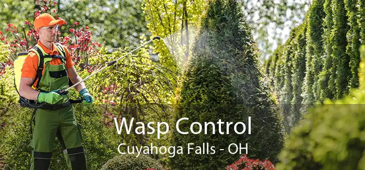 Wasp Control Cuyahoga Falls - OH