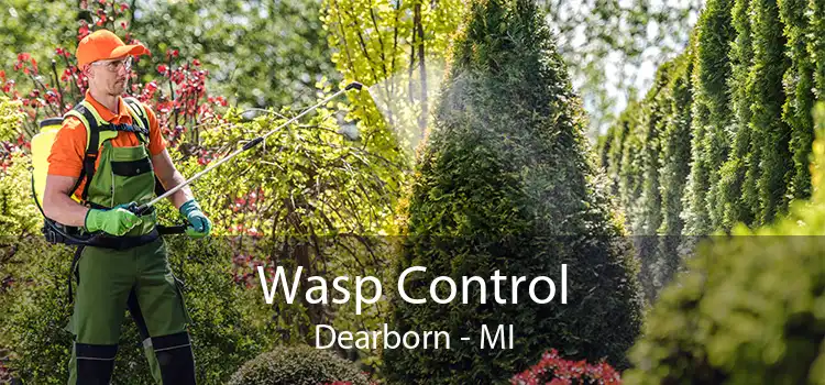 Wasp Control Dearborn - MI