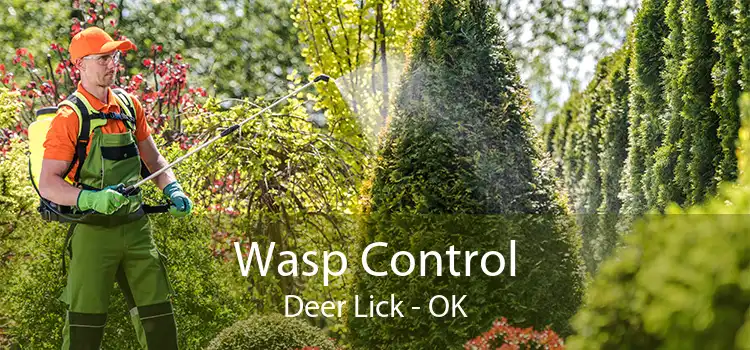 Wasp Control Deer Lick - OK