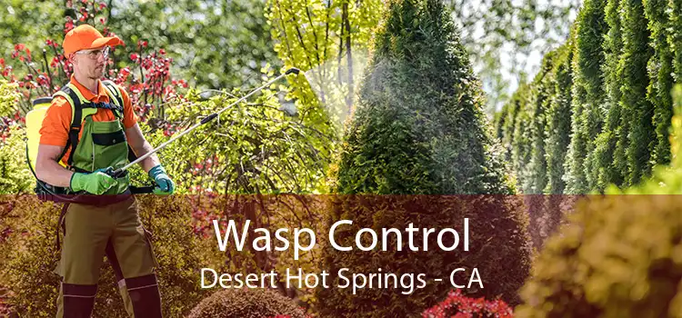 Wasp Control Desert Hot Springs - CA