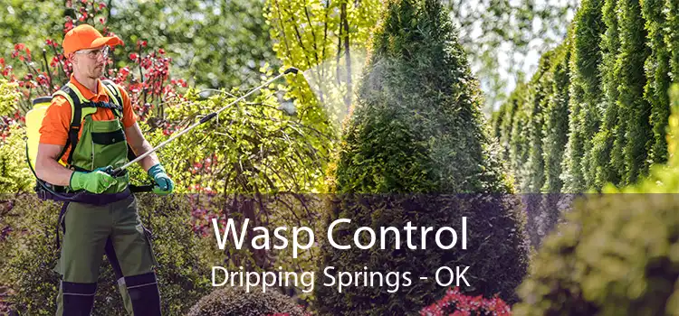 Wasp Control Dripping Springs - OK