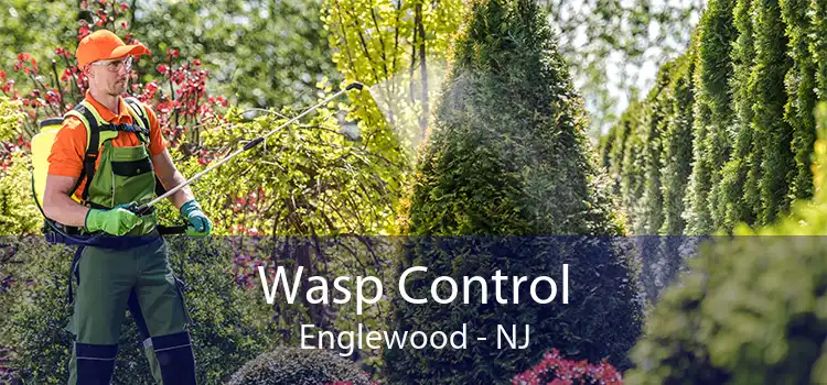Wasp Control Englewood - NJ
