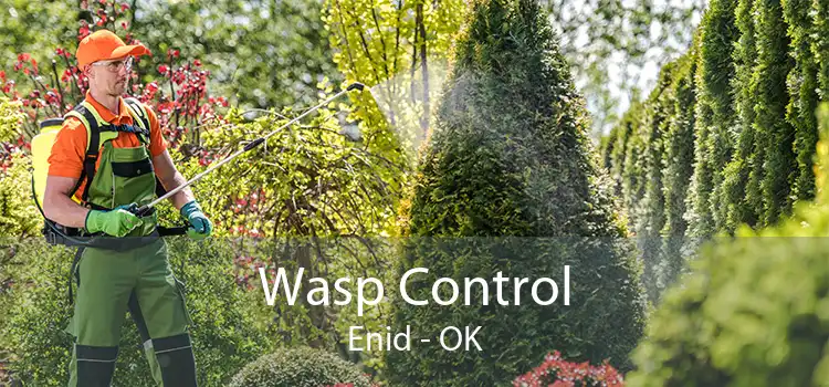 Wasp Control Enid - OK