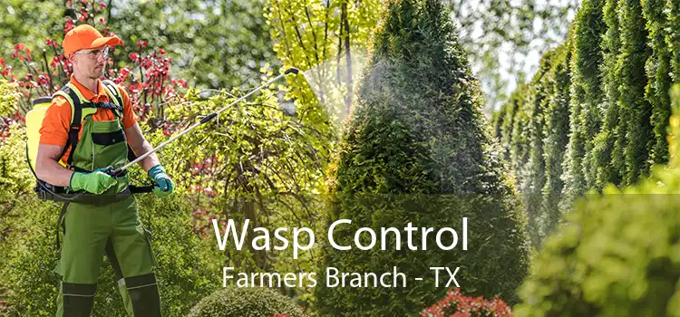 Wasp Control Farmers Branch - TX