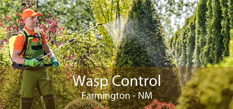 Wasp Control Farmington - NM