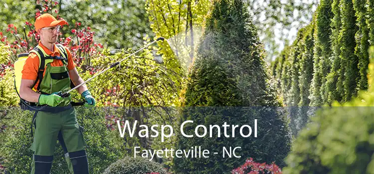 Wasp Control Fayetteville - NC