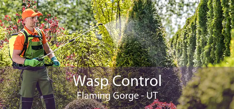 Wasp Control Flaming Gorge - UT