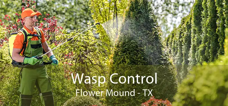 Wasp Control Flower Mound - TX