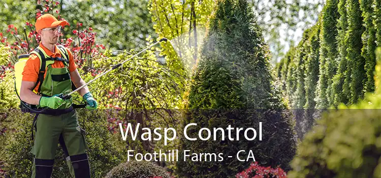 Wasp Control Foothill Farms - CA