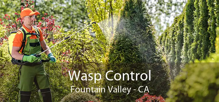 Wasp Control Fountain Valley - CA