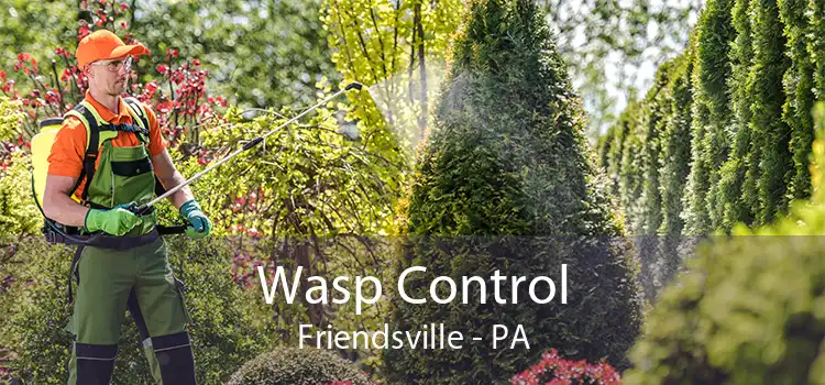 Wasp Control Friendsville - PA