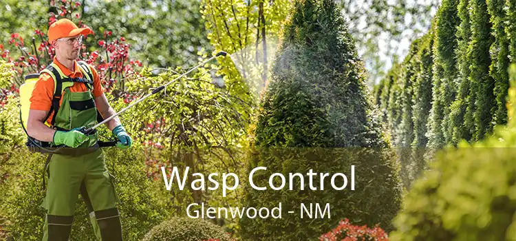 Wasp Control Glenwood - NM