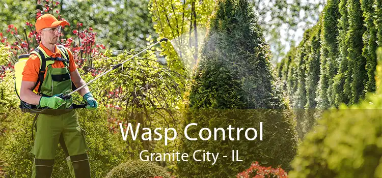 Wasp Control Granite City - IL