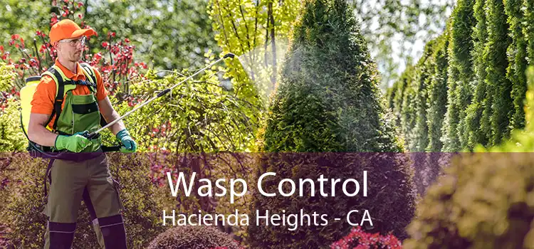 Wasp Control Hacienda Heights - CA