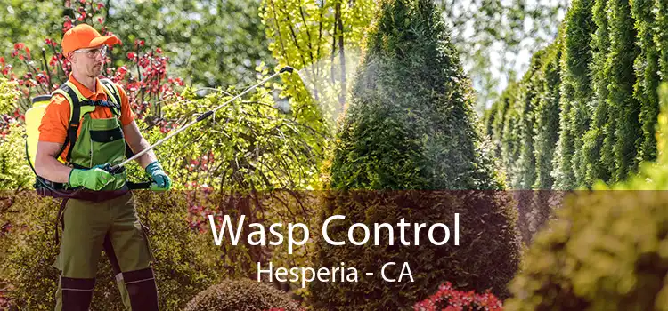 Wasp Control Hesperia - CA