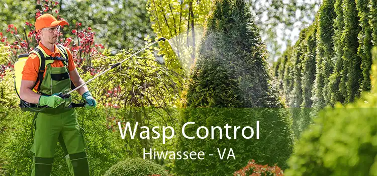 Wasp Control Hiwassee - VA